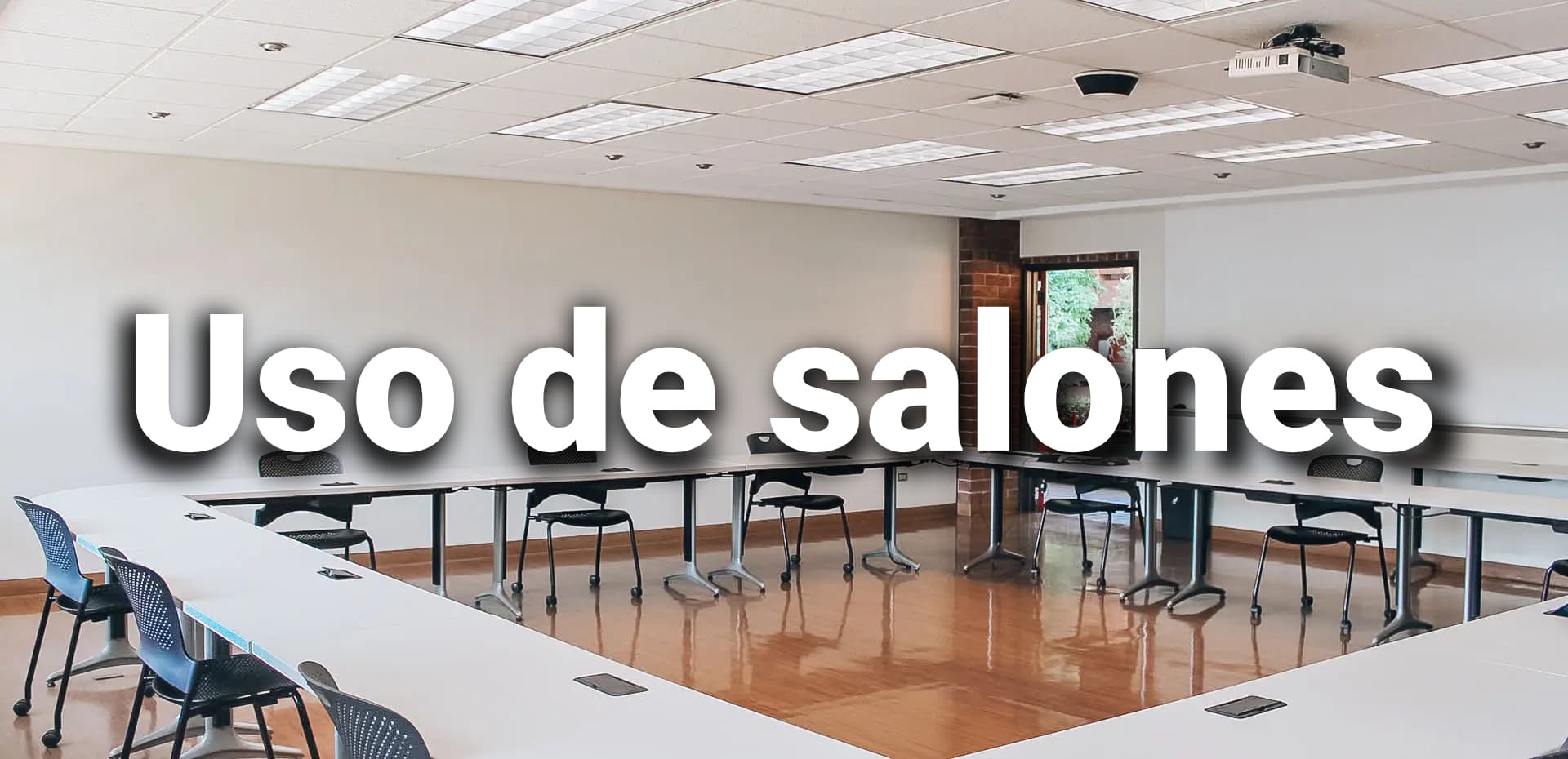 Manual sobre el uso de los salones presentuales